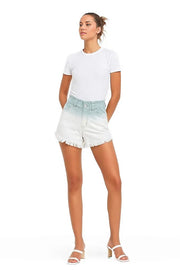 VERVET by Flying Monkey Shorts ASHFALL / S Super High Rise Paperbag Waistband Ombre Shorts