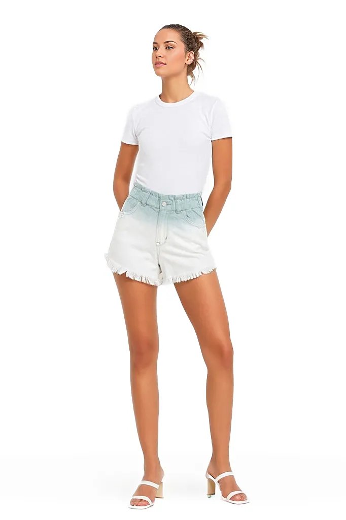 VERVET by Flying Monkey Shorts ASHFALL / S Super High Rise Paperbag Waistband Ombre Shorts