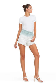 VERVET by Flying Monkey Shorts Super High Rise Paperbag Waistband Ombre Shorts